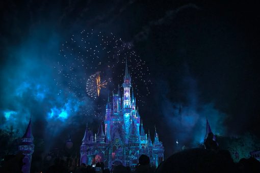 How to Survive Disney World with Your Family
